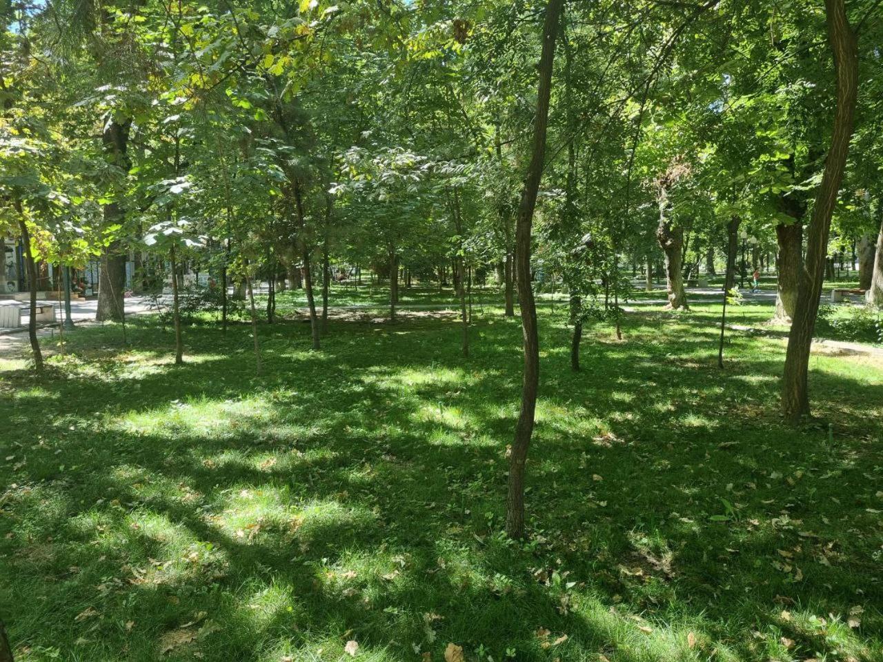 City Center Apartment 1 Ташкент Экстерьер фото